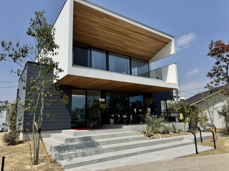 cltハイブリッド